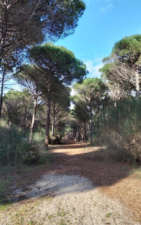 La Catalane - Les Jardins Du Rivage - Wifi- Piscine Villa Le Barcarès Kültér fotó